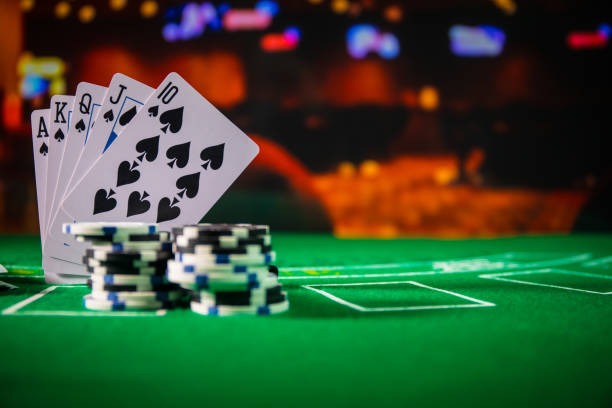 video guide on using betting history features